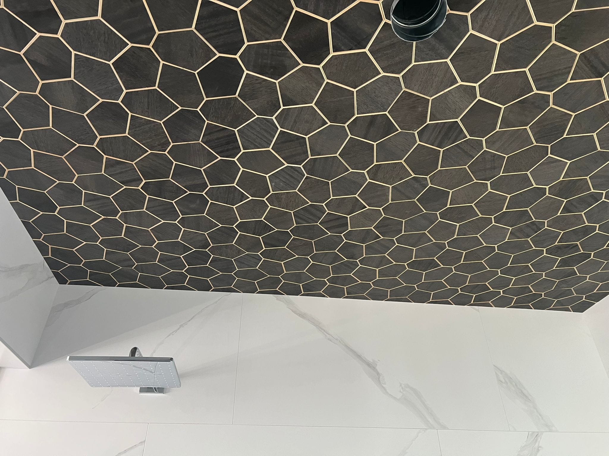 Ceilings & Beyond