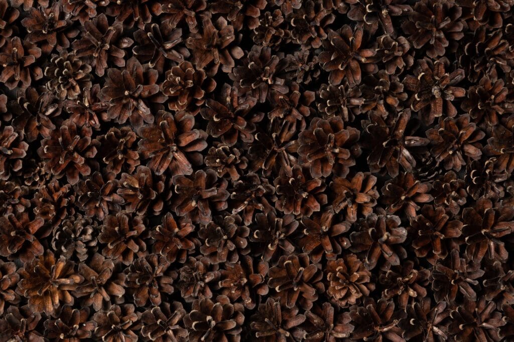 EmotionWood Pinecone panel, natural cone-scale texture