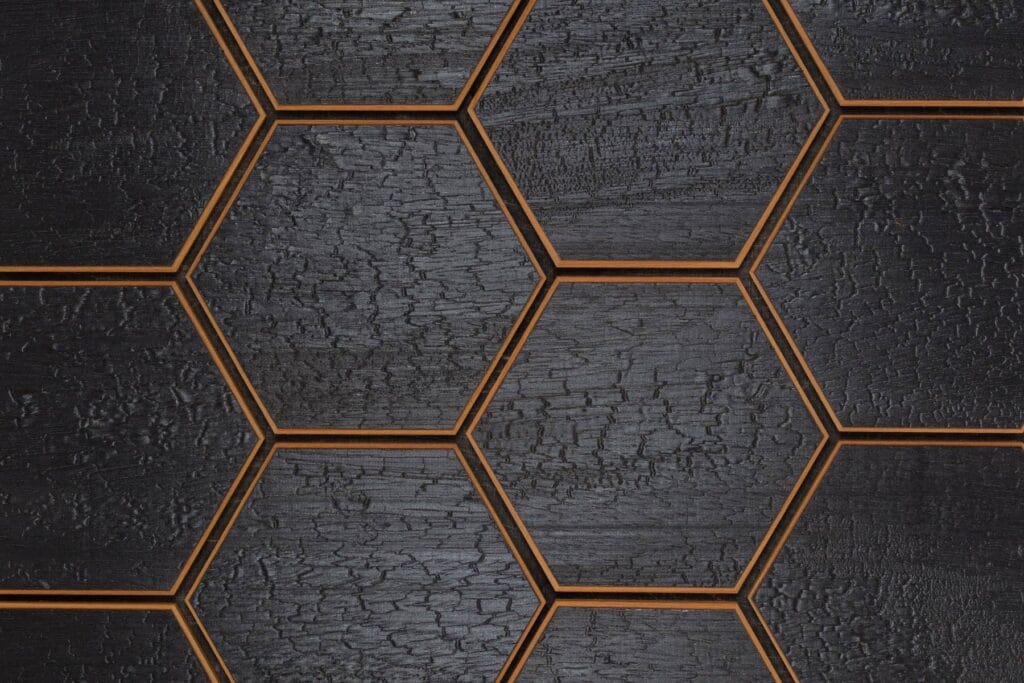 Promenade XL thermo abachi yakisugi charred hexagon wall panel, EmotionWood